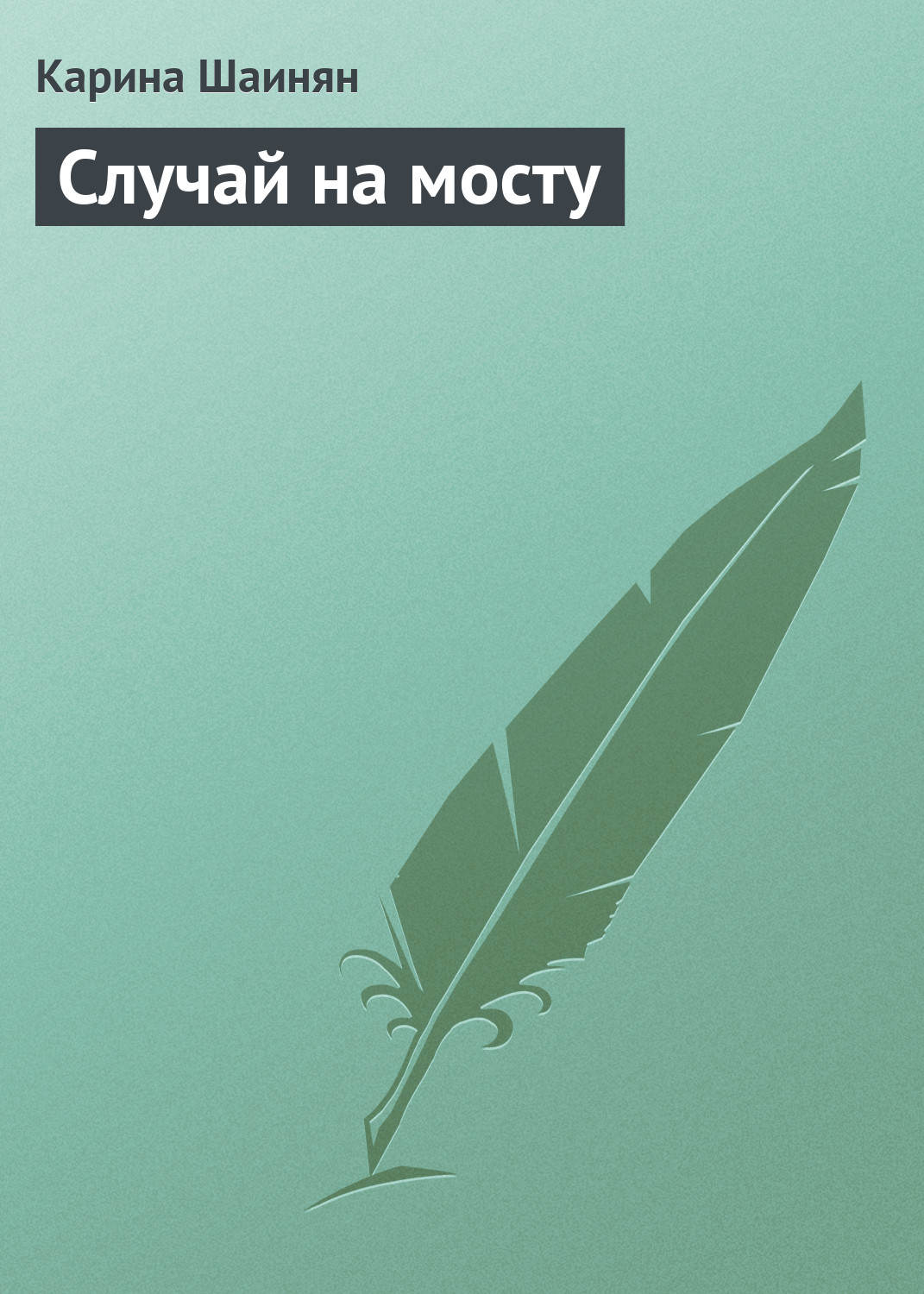 Обложка книги «Случай на мосту»