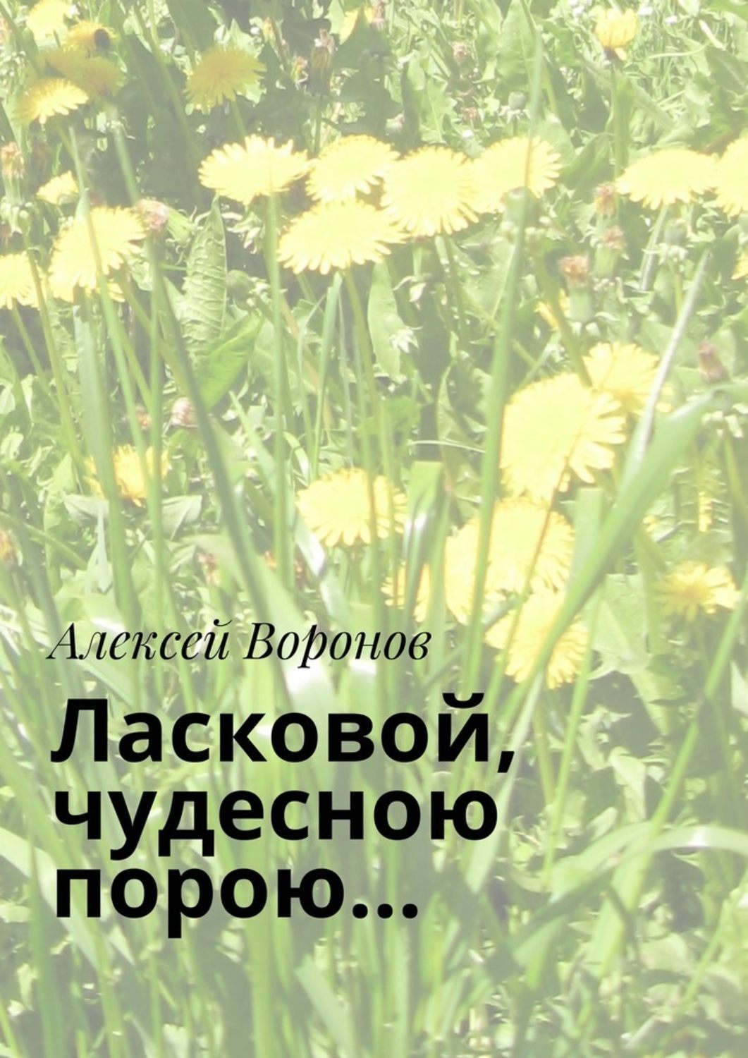 Обложка книги «Ласковой, чудесною порою…»