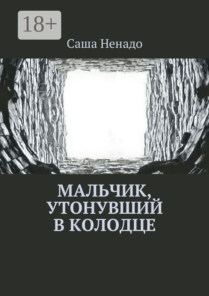 Обложка книги «Мальчик, утонувший в колодце»