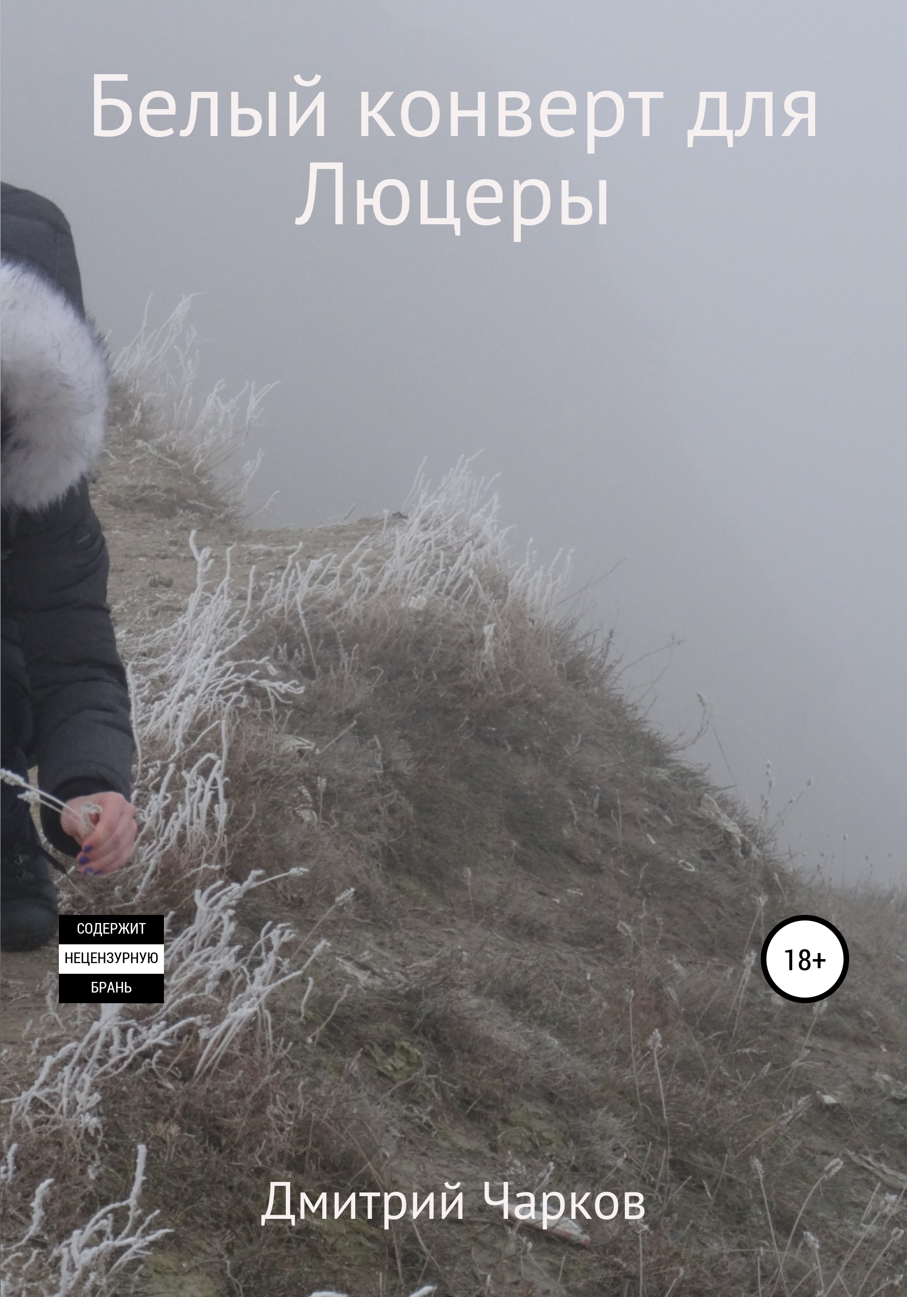 Обложка книги «Белый конверт для Люцеры»