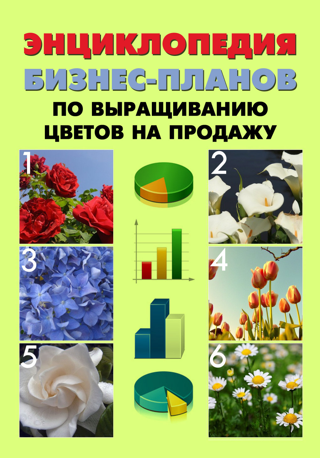 Обложка книги «Энциклопедия бизнес-планов по выращиванию цветов на продажу»