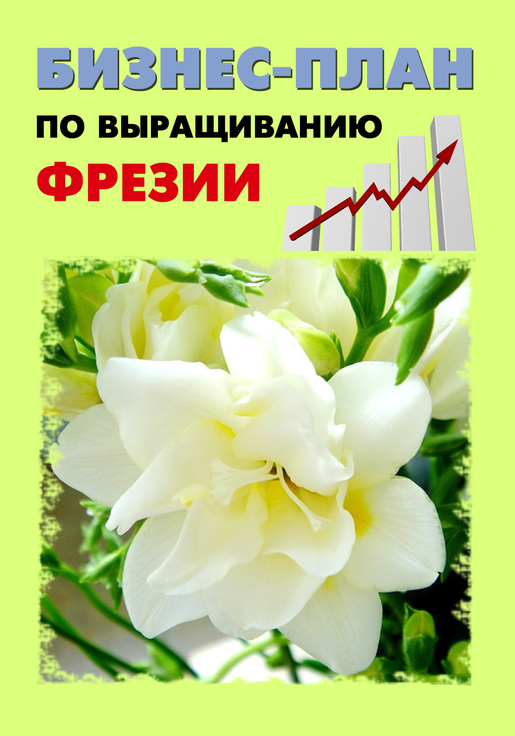 Обложка книги «Бизнес-план по выращиванию фрезии»