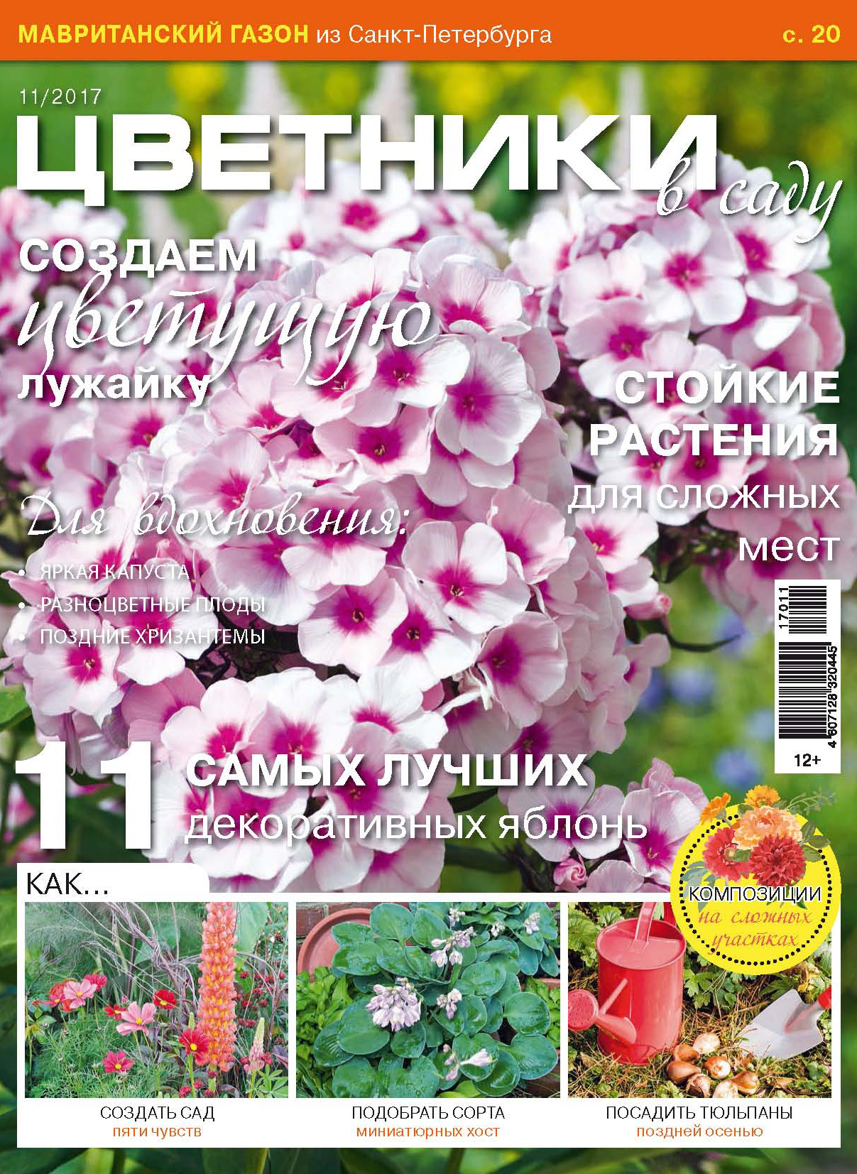 Обложка книги «Цветники в саду №11/2017»
