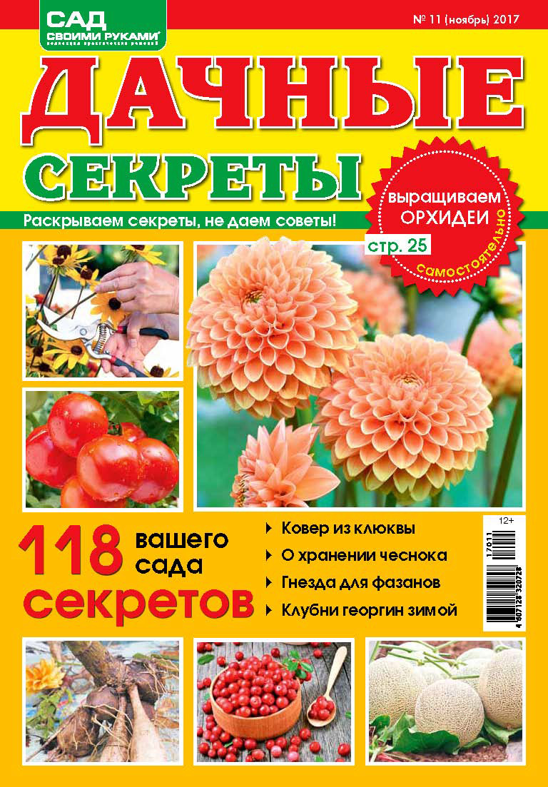 Обложка книги «Сад своими руками. Дачные секреты №11/2017»