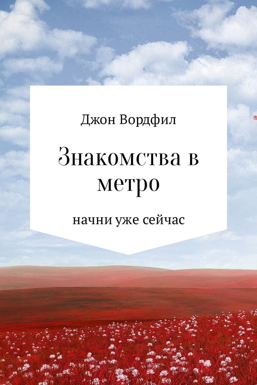 Обложка книги «Знакомства в Метро»