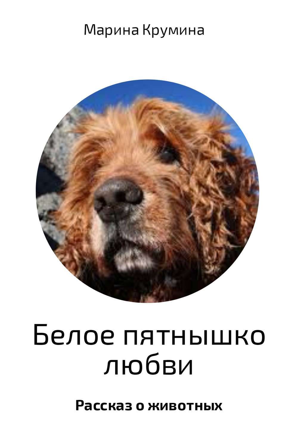 Обложка книги «Белое пятнышко любви»