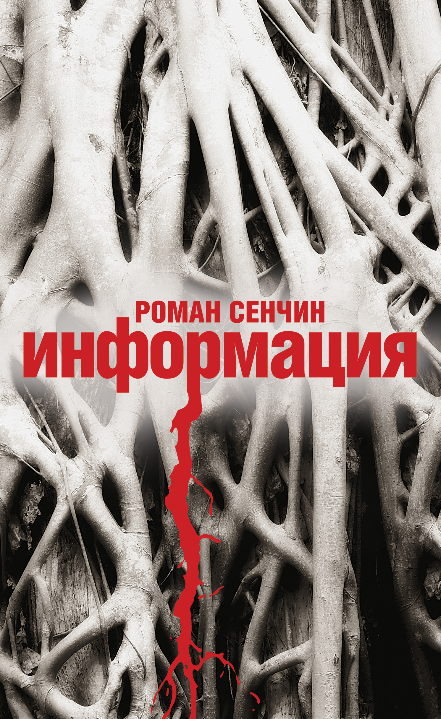 Обложка книги «Информация»
