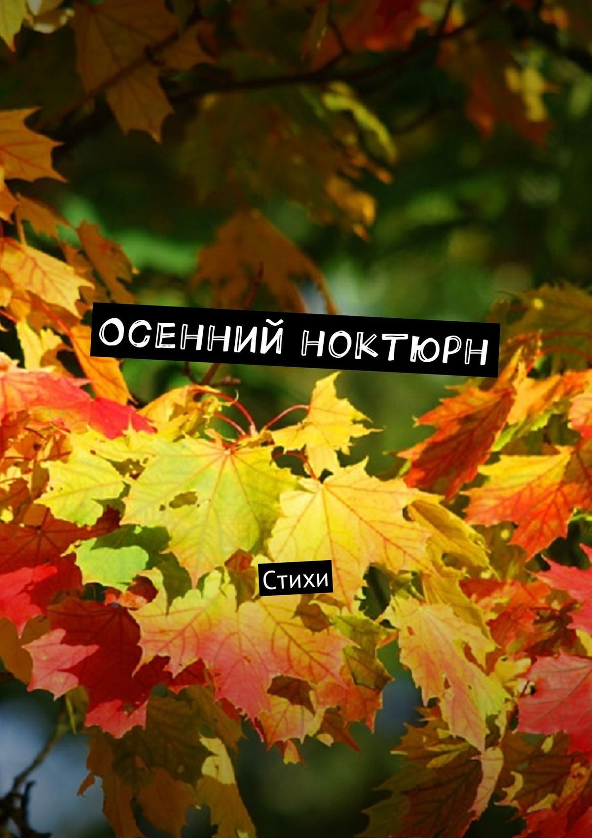Обложка книги «Осенний ноктюрн. Стихи»