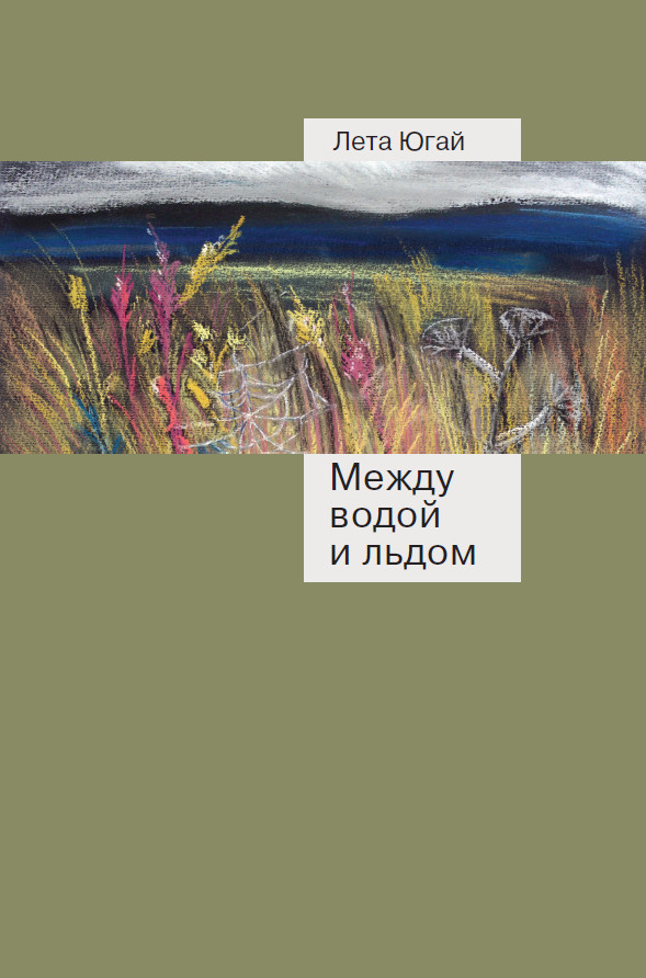 Обложка книги «Между водой и льдом»