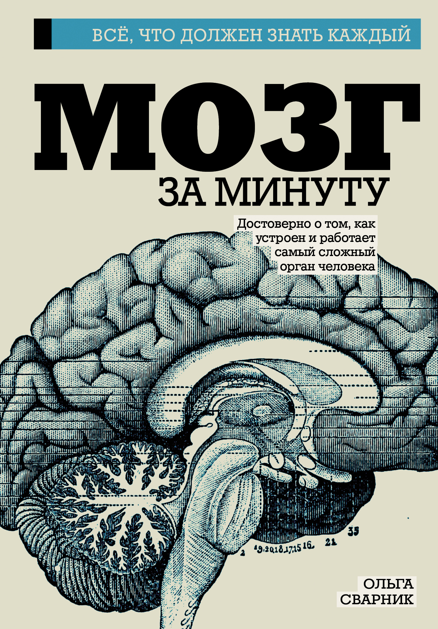 Обложка книги «Мозг за минуту»