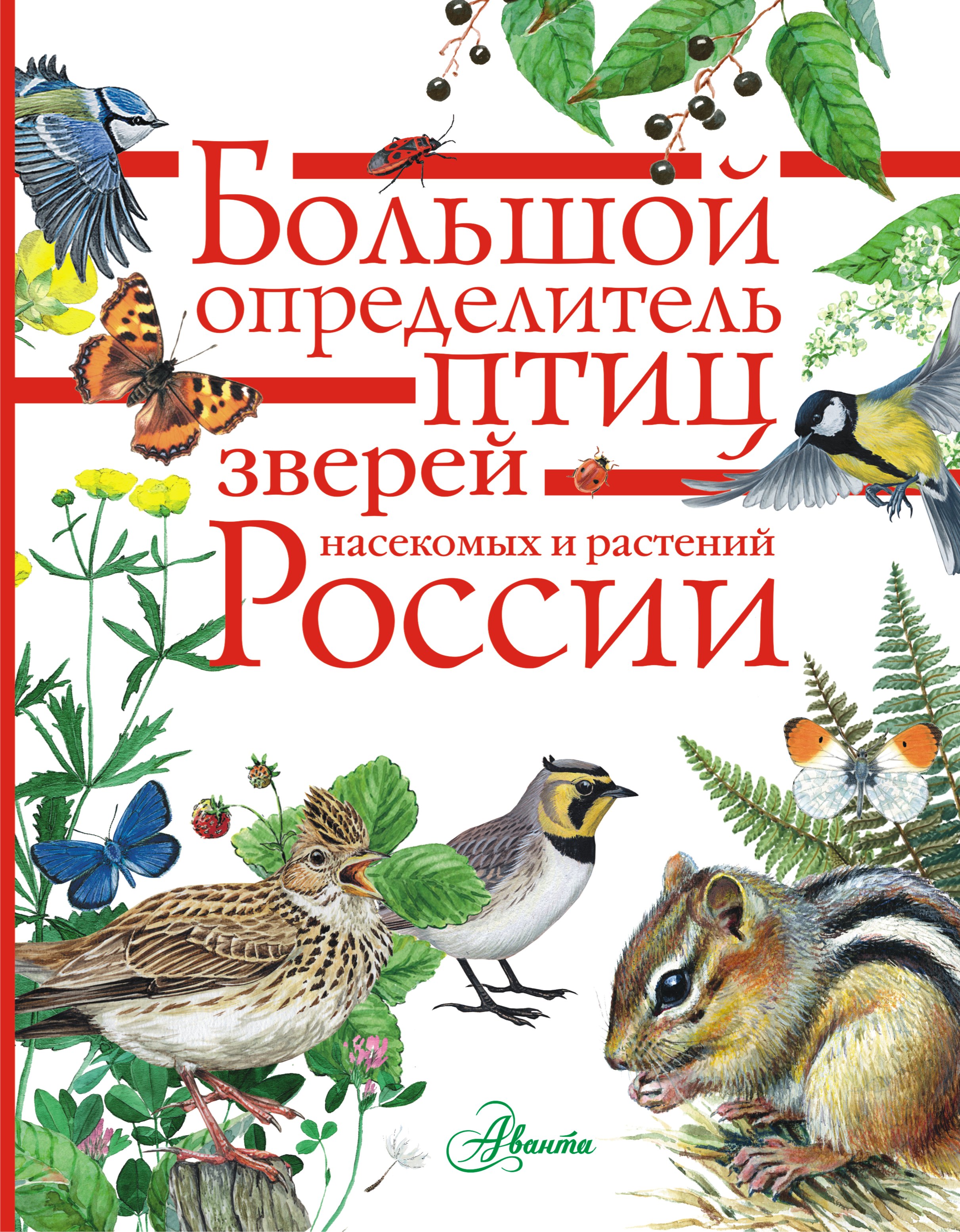 Обложка книги «Большой определитель птиц, зверей, насекомых и растений России»