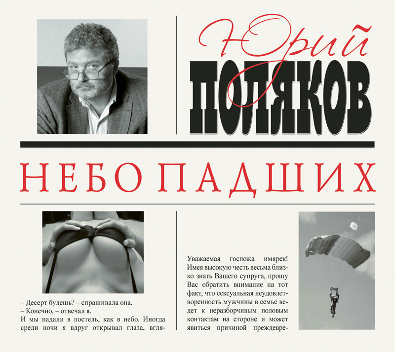 Обложка книги «Небо падших»