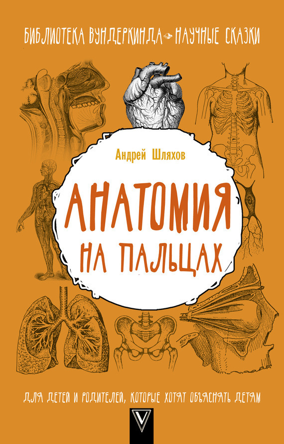 Обложка книги «Анатомия на пальцах. Для детей и родителей, которые хотят объяснять детям»