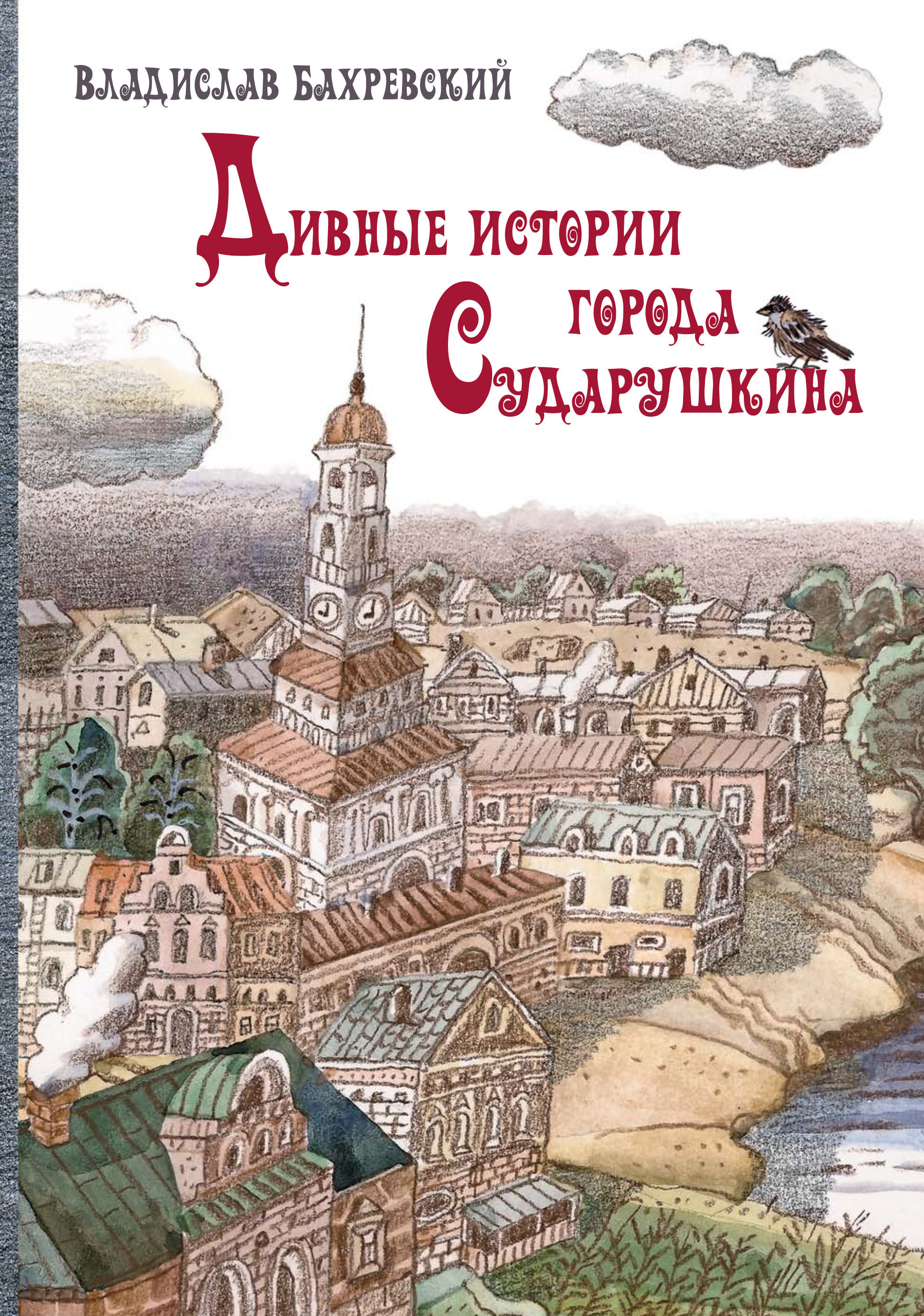 Обложка книги «Дивные истории города Сударушкина»