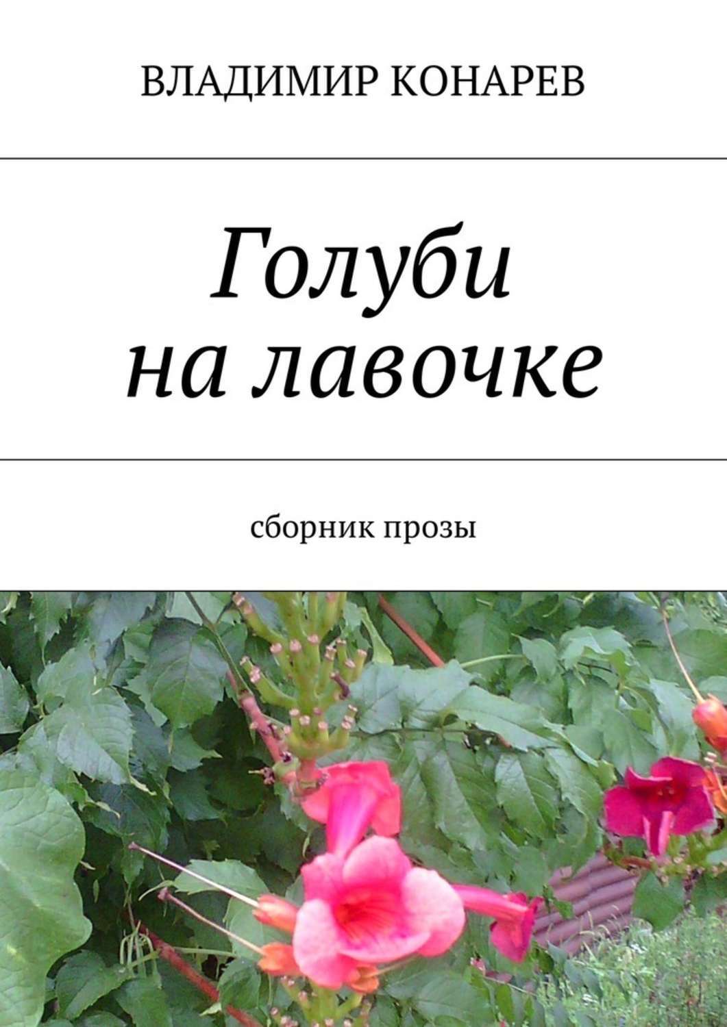 Обложка книги «Голуби на лавочке. Сборник прозы»
