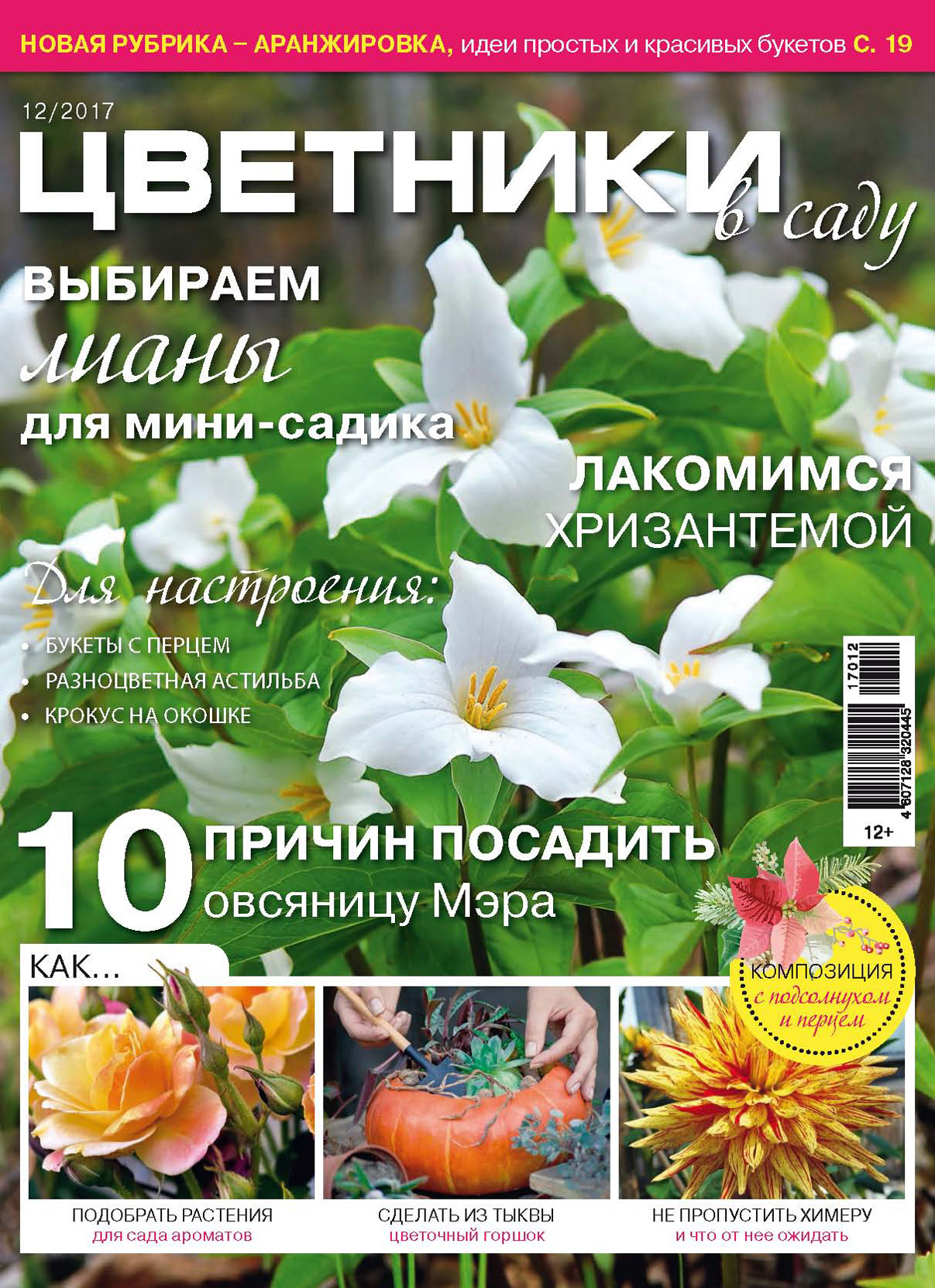 Обложка книги «Цветники в саду №12/2017»
