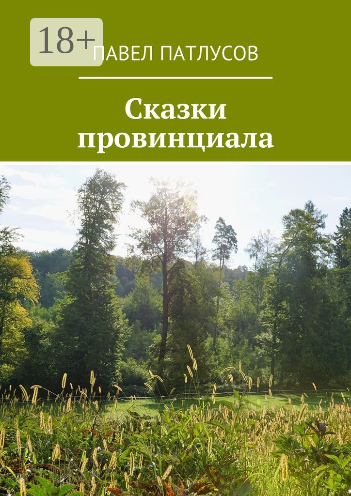 Обложка книги «Сказки провинциала»