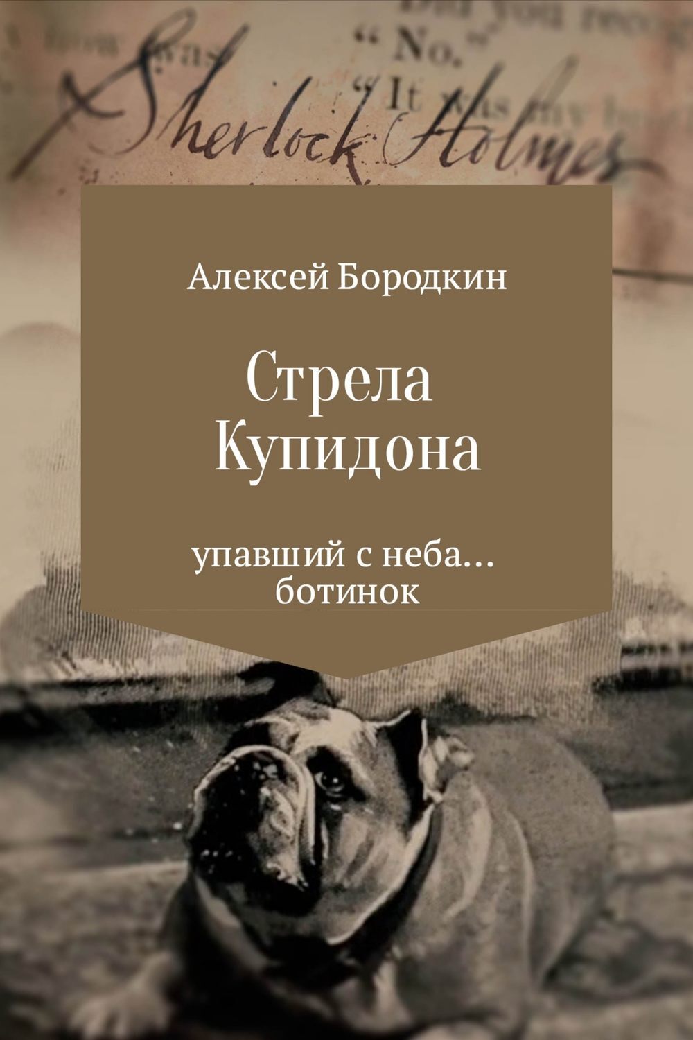 Обложка книги «Стрела Купидона»