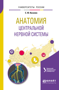 Обложка книги «Анатомия центральной нервной системы. Учебное пособие для вузов»