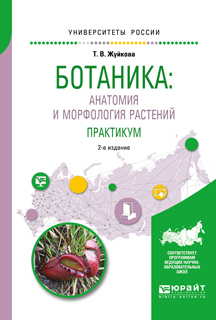 Обложка книги «Ботаника: анатомия и морфология растений. Практикум 2-е изд., пер. и доп. Учебное пособие для вузов»