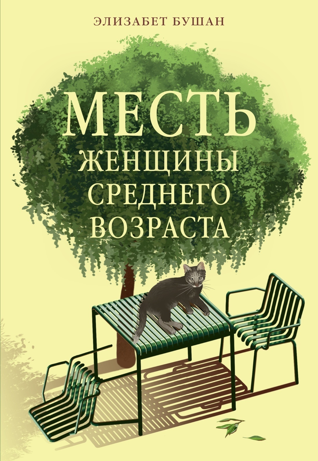 Обложка книги «Месть женщины среднего возраста»