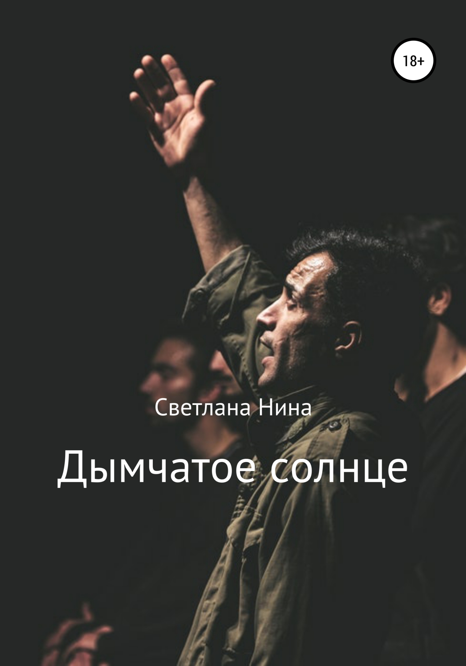 Обложка книги «Дымчатое солнце»