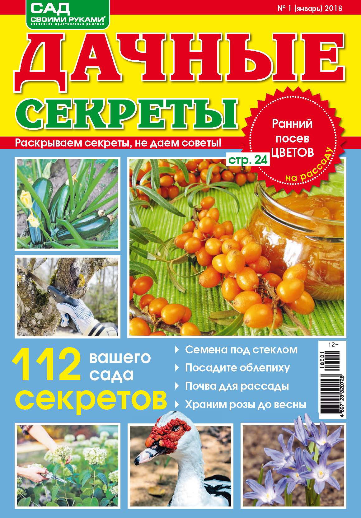 Обложка книги «Сад своими руками. Дачные секреты №1/2018»