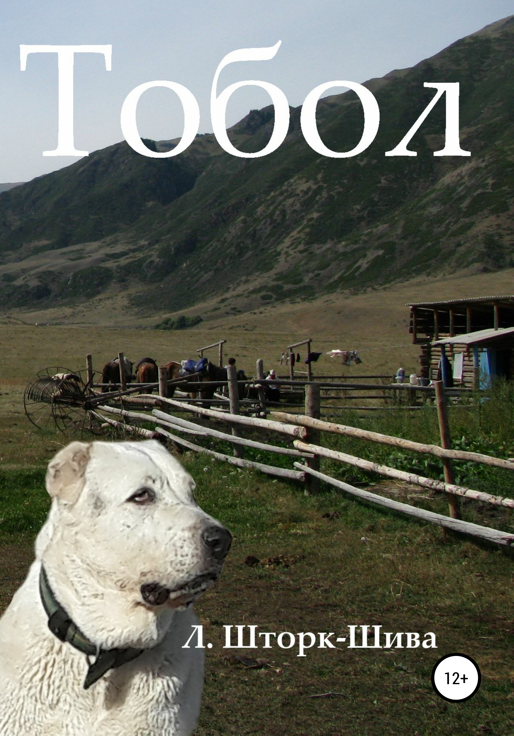 Обложка книги «Тобол»