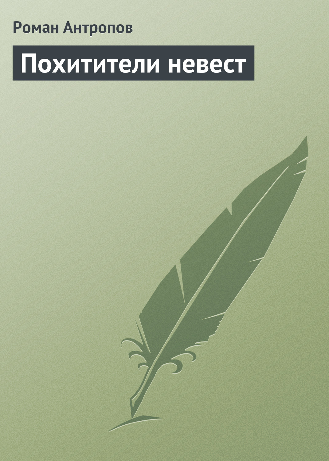 Обложка книги «Похитители невест»