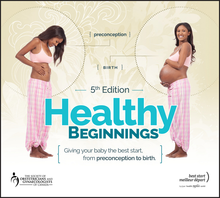 Обложка книги «Healthy Beginnings. Giving Your Baby the Best Start, from Preconception to Birth»