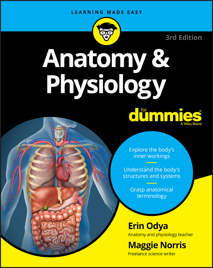 Обложка книги «Anatomy and Physiology For Dummies»
