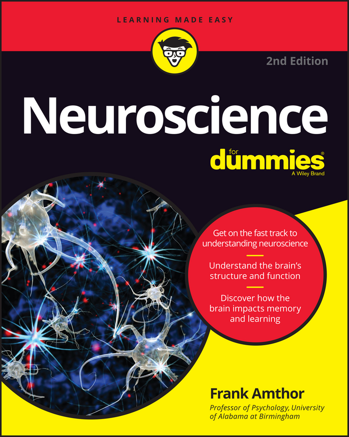 Обложка книги «Neuroscience For Dummies»