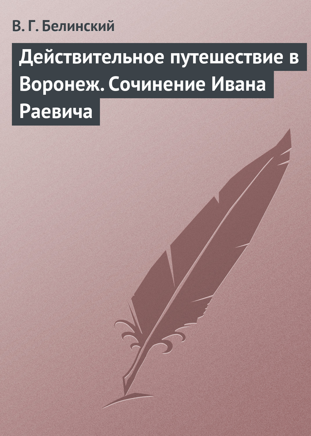 Обложка книги «Действительное путешествие в Воронеж. Сочинение Ивана Раевича»