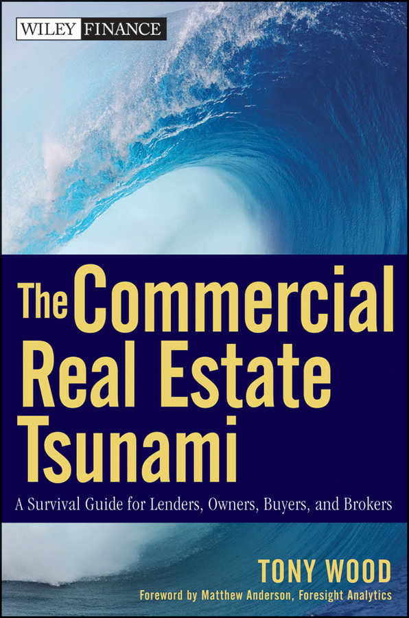 Обложка книги «The Commercial Real Estate Tsunami. A Survival Guide for Lenders, Owners, Buyers, and Brokers»