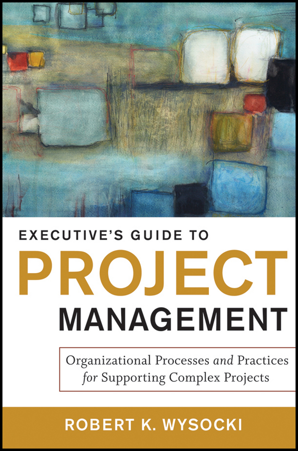 Обложка книги «Executive's Guide to Project Management. Organizational Processes and Practices for Supporting Complex Projects»