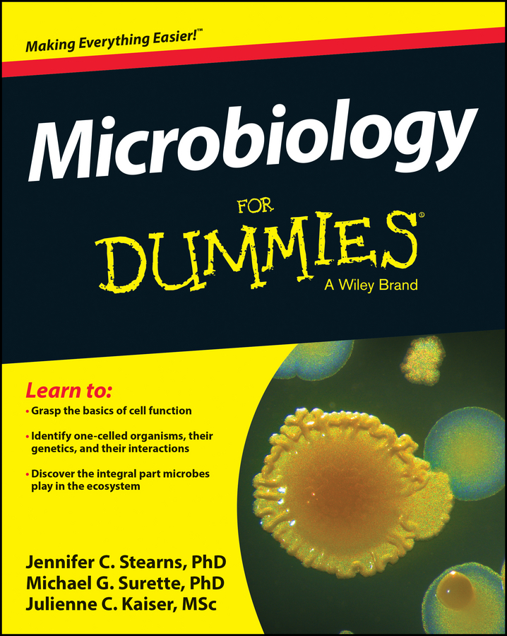 Обложка книги «Microbiology For Dummies»