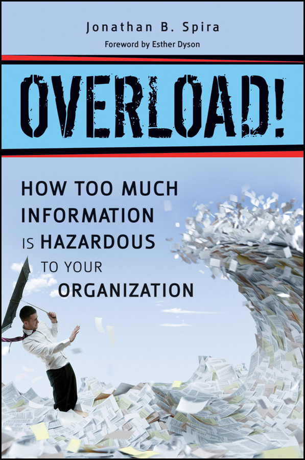 Обложка книги «Overload! How Too Much Information is Hazardous to your Organization»
