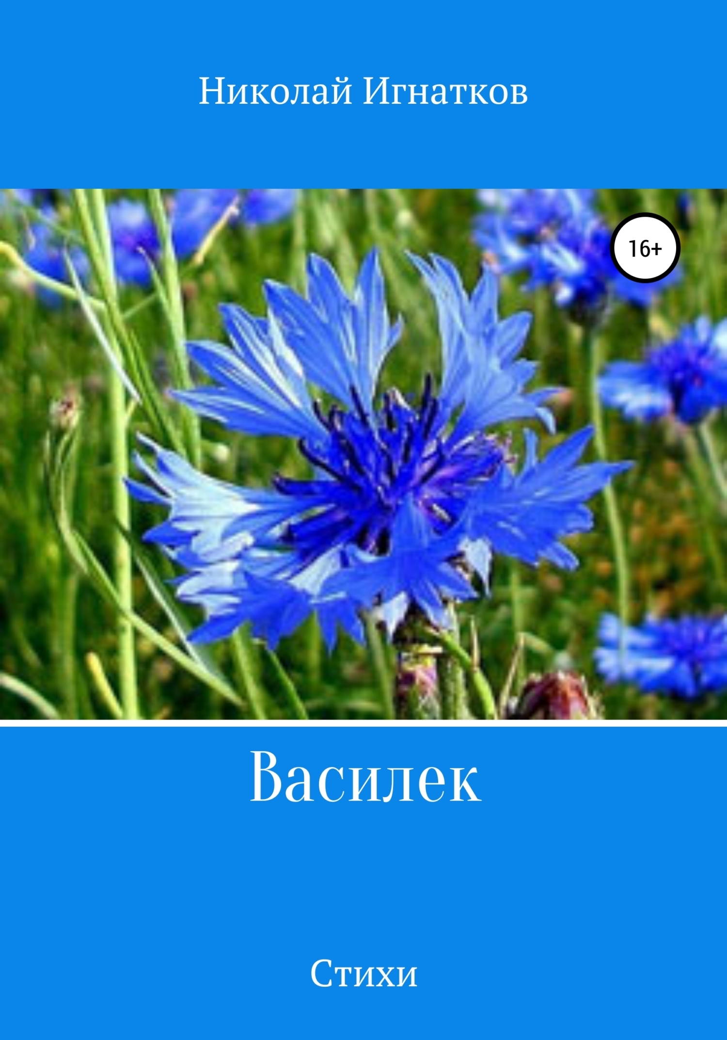 Обложка книги «Василек. Сборник стихов»
