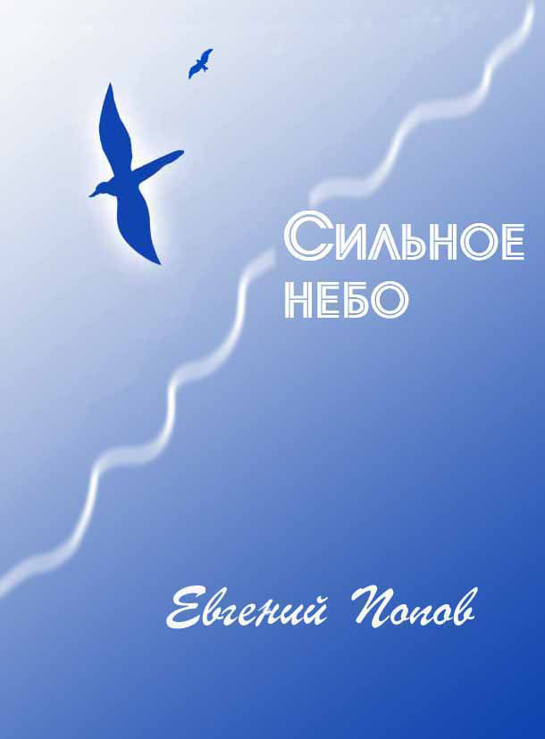 Обложка книги «Сильное небо»