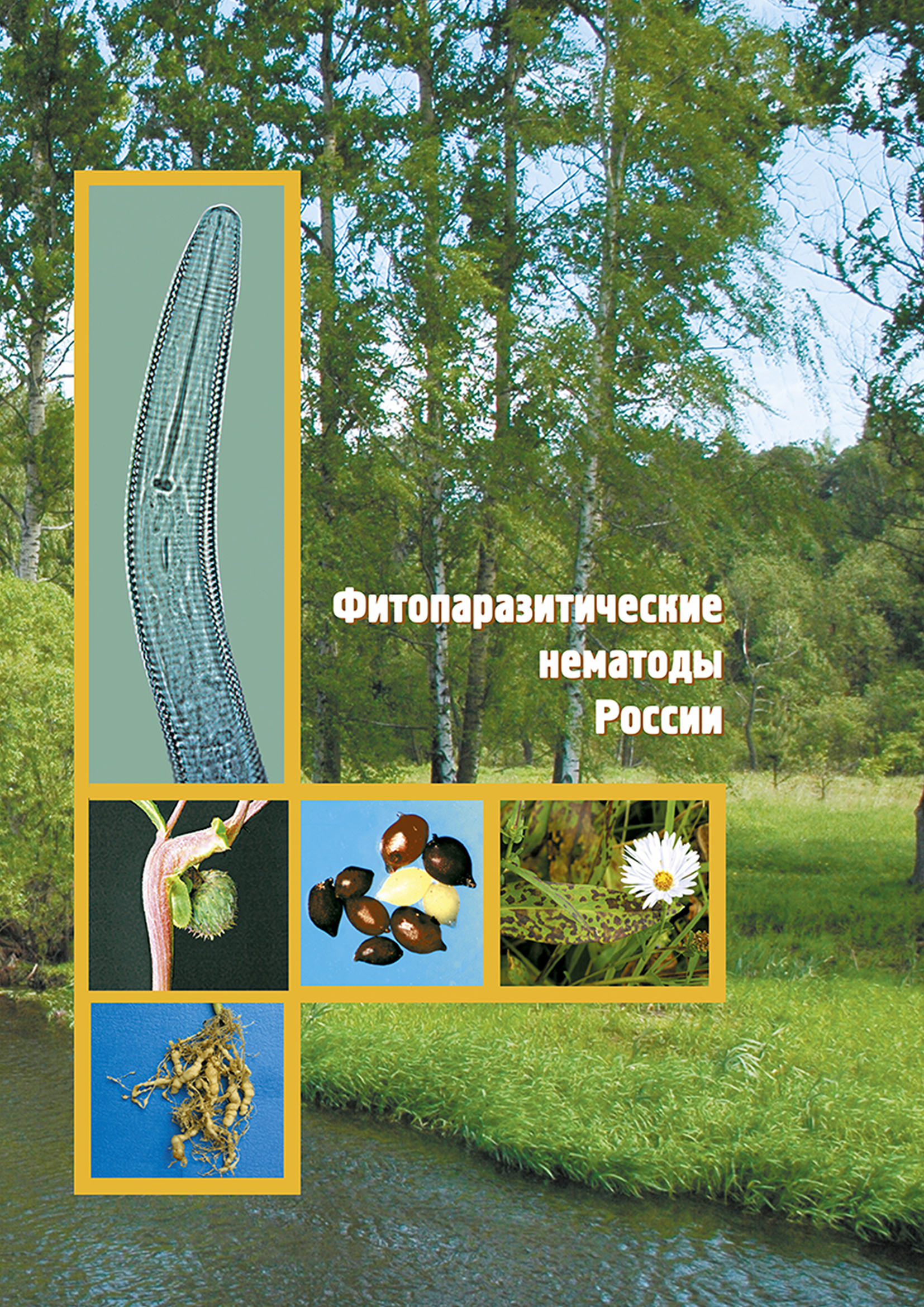 Обложка книги «Фитопаразитические нематоды России»