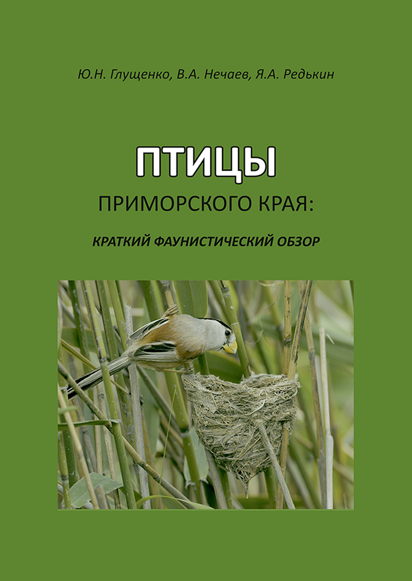 Обложка книги «Птицы Приморского края: краткий фаунистический обзор»
