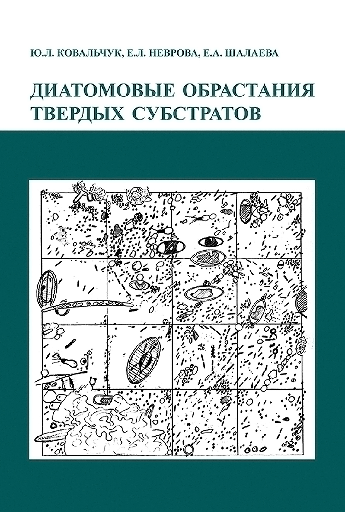 Обложка книги «Диатомовые обрастания твердых субстратов»
