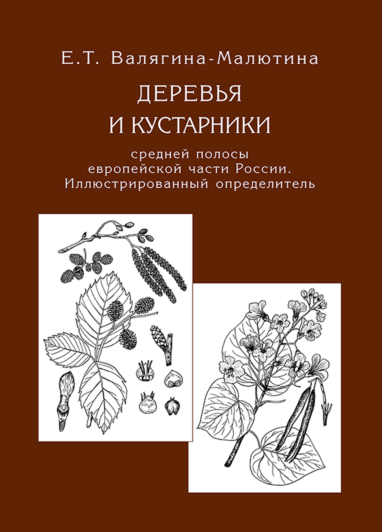Обложка книги «Деревья и кустарники средней полосы европейской части России. Иллюстрированный определитель»