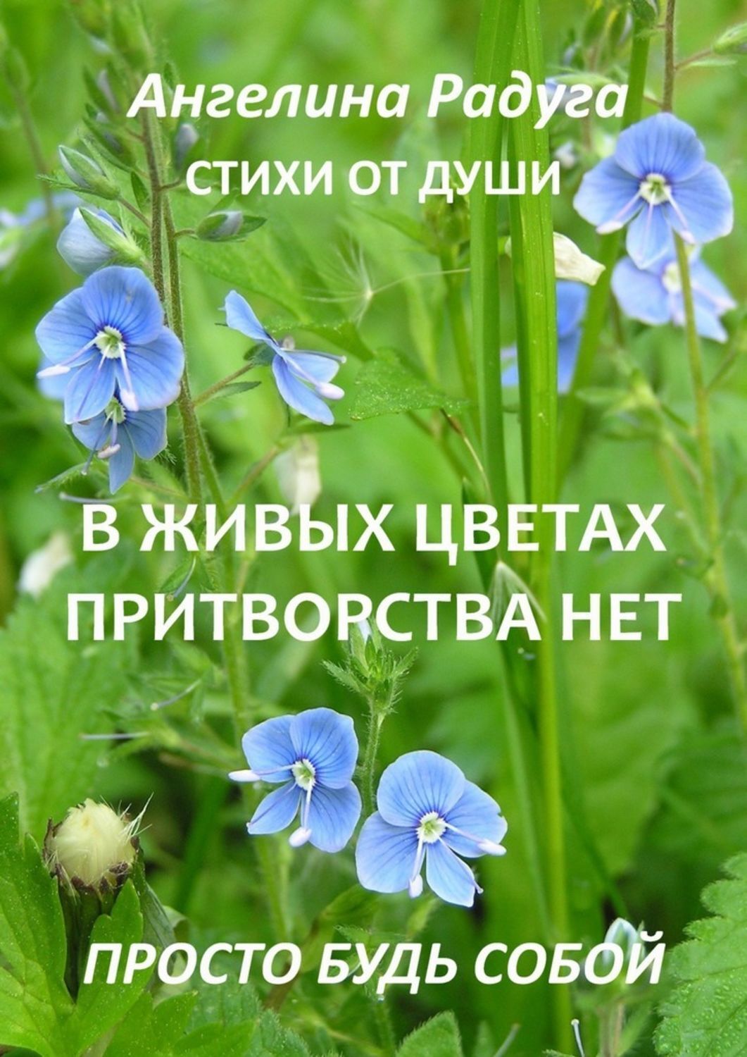 Обложка книги «В живых цветах притворства нет. Просто будь собой»
