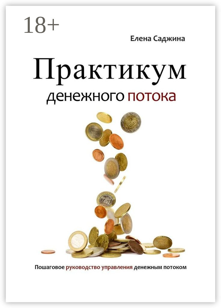 Обложка книги «Практикум денежного потока. Пошаговое руководство управления денежным потоком»