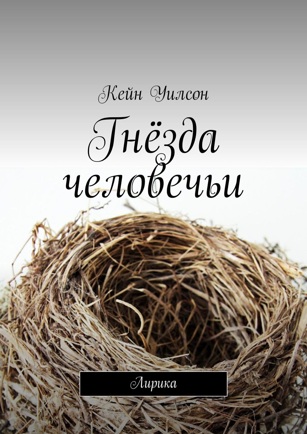 Обложка книги «Гнёзда человечьи. Лирика»