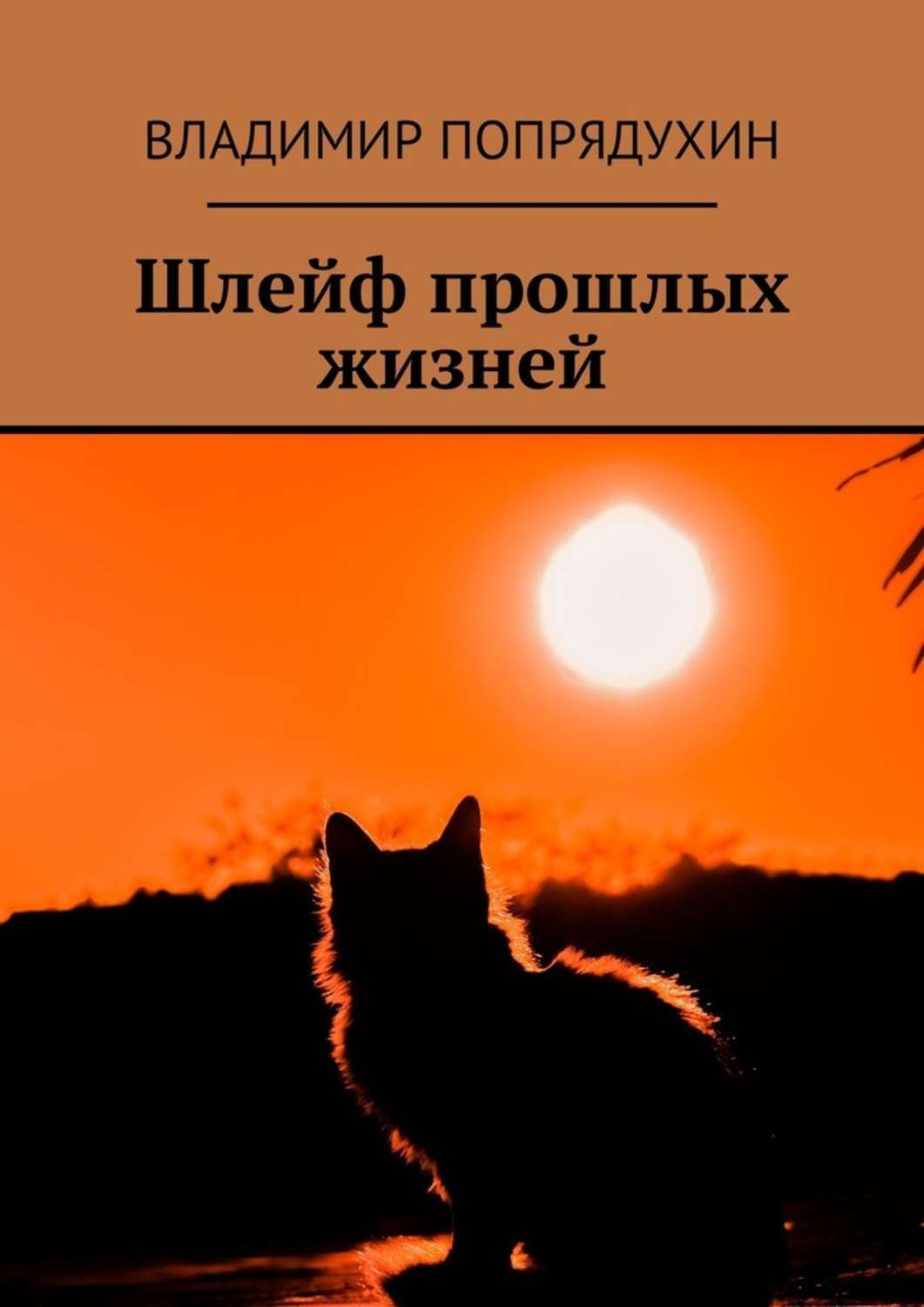 Обложка книги «Шлейф прошлых жизней»