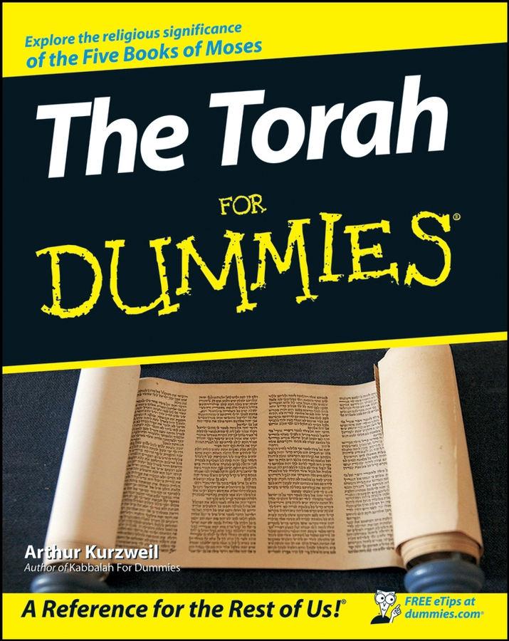 Обложка книги «The Torah For Dummies»