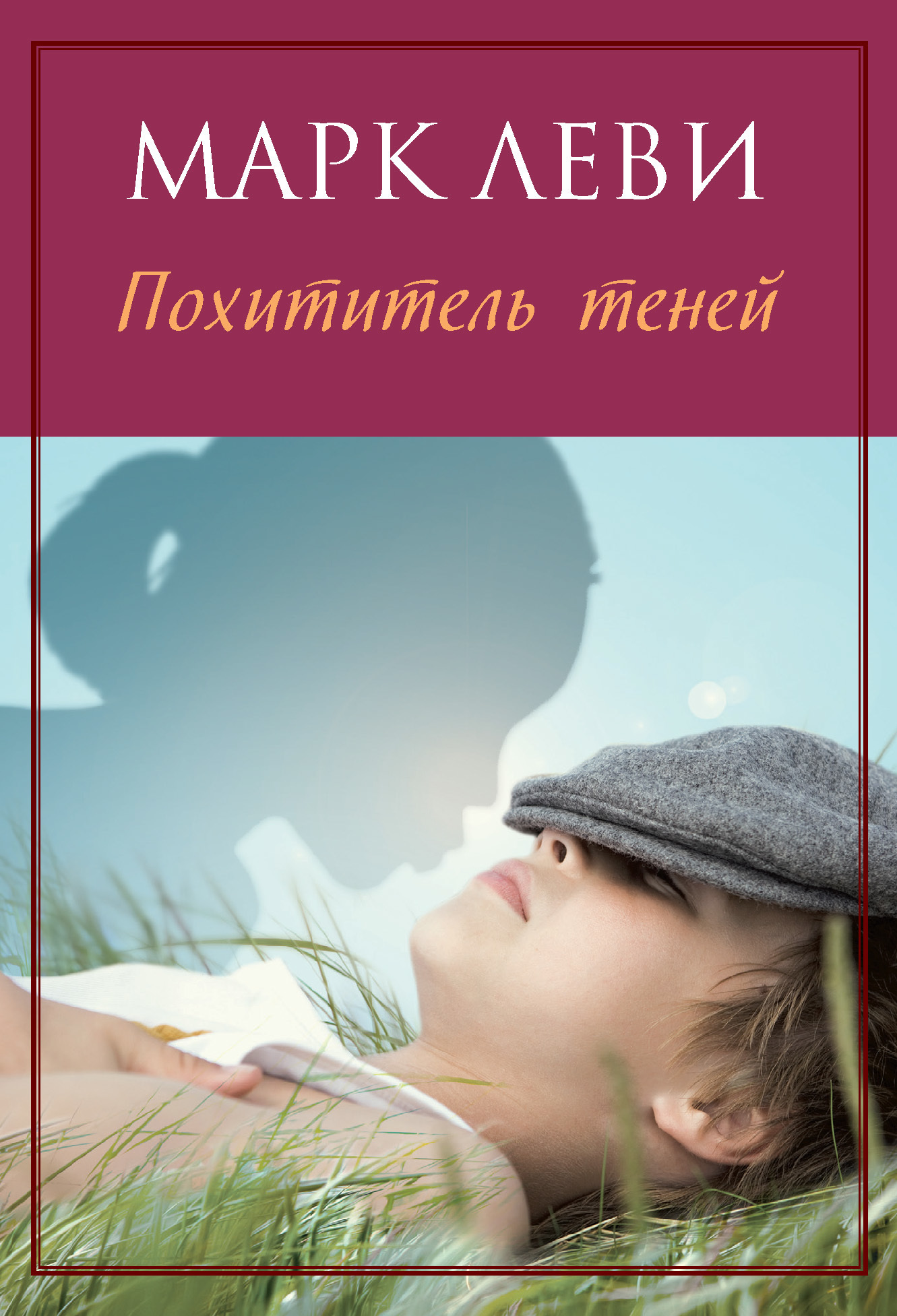 Обложка книги «Похититель теней»