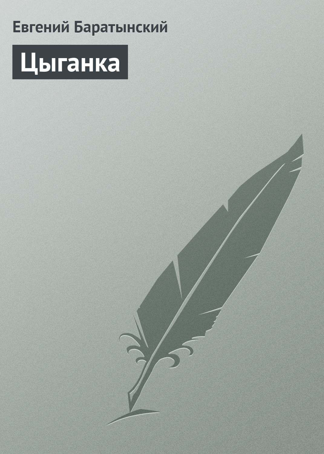 Обложка книги «Цыганка»
